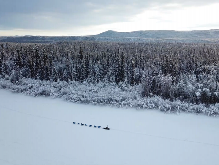 Les mushers : des leaders inspirants !